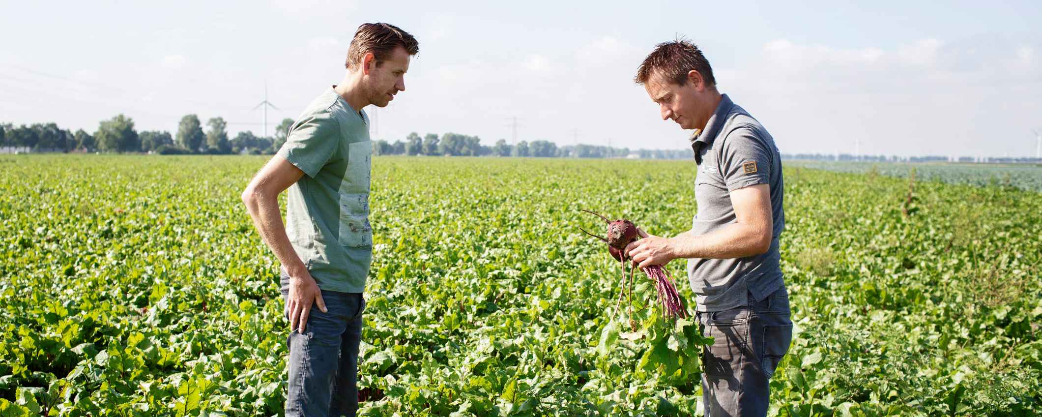 Johan en Wouter Snippe aan het werk in het weiland - Triodos Bank