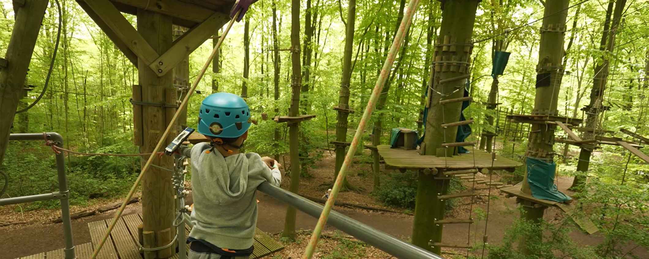 Fun Forest