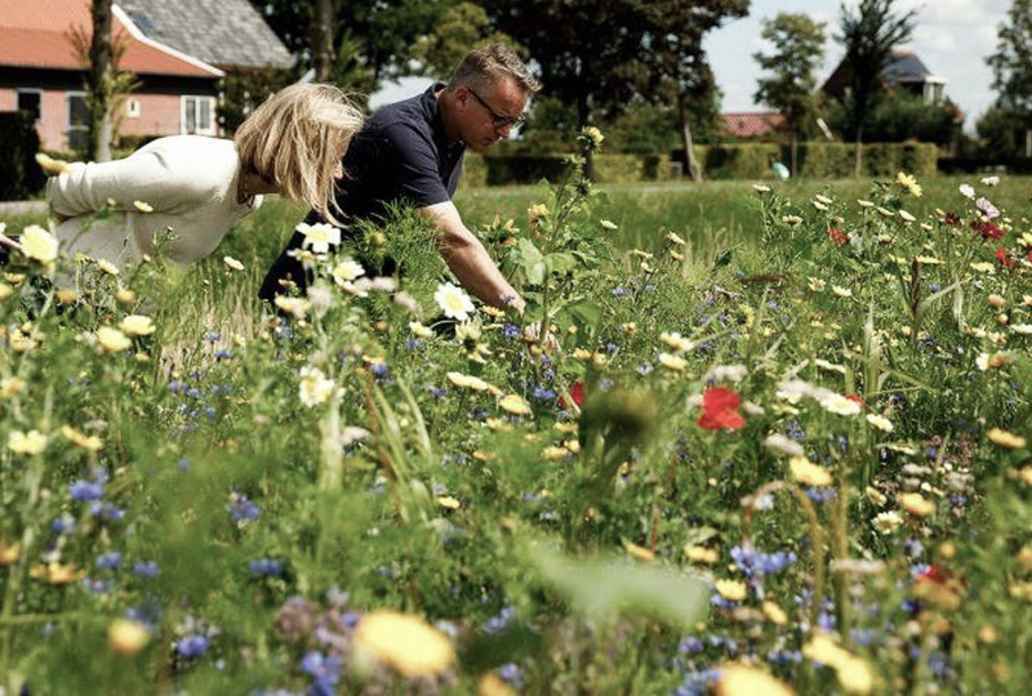 Twee mensen kijken naar een stuk land waar gras en allerlei soort bloemen groeien en bloeien.
